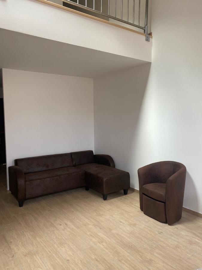 Appartements Neufs Avec Garages Dans Maison De Village Andance المظهر الخارجي الصورة