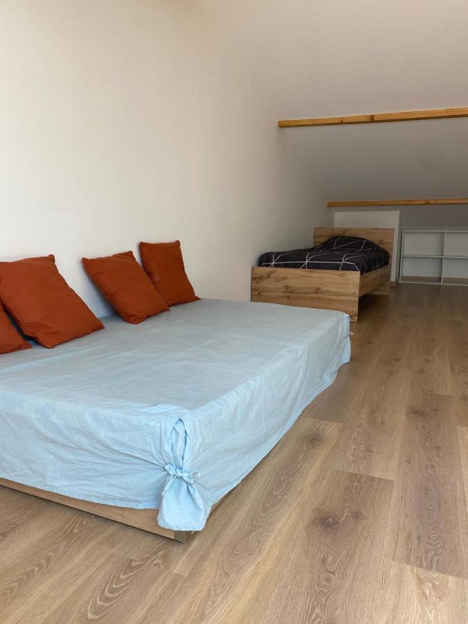Appartements Neufs Avec Garages Dans Maison De Village Andance المظهر الخارجي الصورة